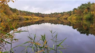 Das Finkenmoor im Wernerwald in Cuxhaven-Sahlenburg bietet nicht nur perfekte Fotomotive, es liegt auch nur ein paar Meter vom Wattenmeer entfernt.