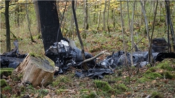 Das Flugzeugwrack an der Absturzstelle im Wald.