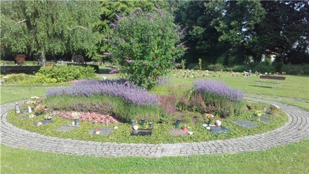 Das Gartenbauamt setzt die beliebte und anspruchslose lila Pflanze gerne auf den Bremerhavener Friedhöfen ein.