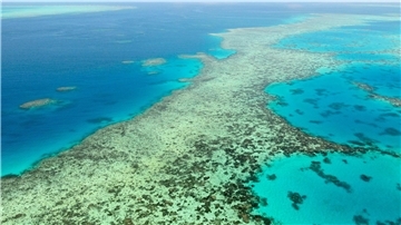 Bei Landausflug zurückgelassen: Kreuzfahrtpassagierin stirbt Das Great Barrier Reef in Australien. (Archivbild)