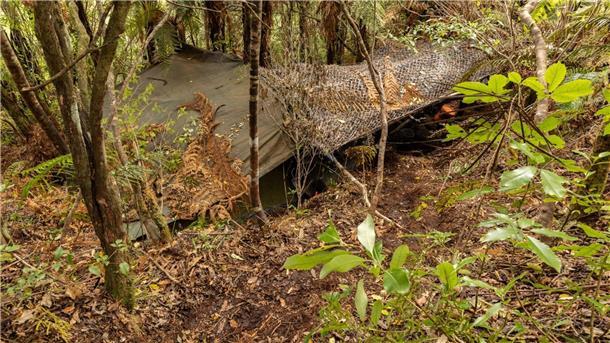Neuseeland: Polizei sucht nach Helfern des Kindesentführers Das Hauptlager wurde in einem dichten Wald auf der Nordinsel entdeckt.