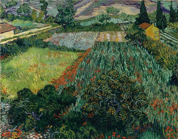 „Das Mohnfeld“ von Vincent van Gogh gehört heute zu den Perlen der Sammlung der Bremer Kunsthalle. Doch als der Direktor Gustav Pauli es 1911 ankaufen wollte, löste dieser Plan einen deutschlandweiten Skandal aus.