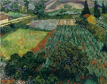 „Das Mohnfeld“ von Vincent van Gogh gehört heute zu den Perlen der Sammlung der Bremer Kunsthalle. Doch als der Direktor Gustav Pauli es 1911 ankaufen wollte, löste dieser Plan einen deutschlandweiten Skandal aus.