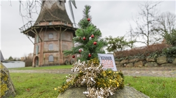 Das NZ-Weihnachtsbäumchen war wieder in Bremerhaven und im Landkreis Cuxhaven unterwegs. Am 22. Dezember stand unser Bäumchen in Schiffdorf.
