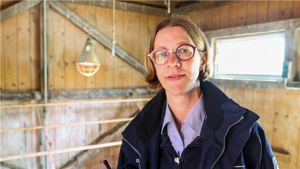 Gefängnisprojekt mit Herz: Häftlinge pflegen kranke Hühner Das Projekt wird zehn Jahre alt - die Zahl der Hühner wächst und wächst