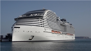 Das Schiff hat den Hafen in Neapel erreicht. (Symbolbild)