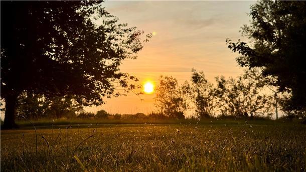 Sonnenuntergang über eine Wiese.