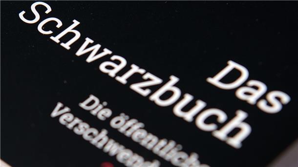 Das Schwarzbuch sammelt Fälle, in denen aus Sicht der Herausgeber Steuergeld verschwendet wurde.