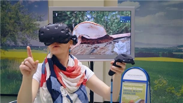 Das Senckenberg Museum für Naturkunde Görlitz ermöglicht mit der modularen Virtual Reality-Anwendung „Abenteuer Bodenleben“ die verborgene Welt der Bodenlebewesen „hautnah“ zu erkunden.