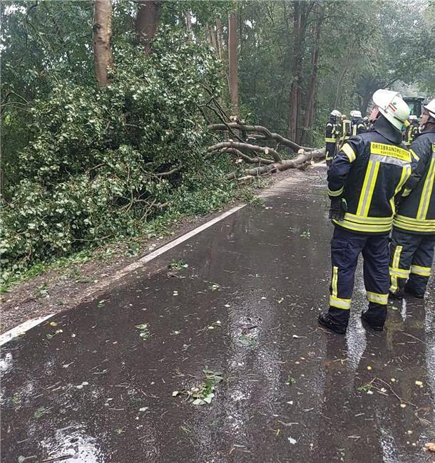 Das Unwetter am Sonntagnachmittag hatte in der Gemeinde Gnarrenburg zahlreiche umgestürzte Bäume zur Folge.