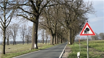Verkehrszeichen an einer geschützten Allee
