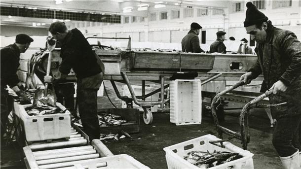 Das Wiegen wurde einfacher, und hygienischer war es auch: Ende der 60er Jahre wurden die alten Holzkisten durch Plastikkisten ersetzt, hier zu sehen auf einem Foto von 1969.
