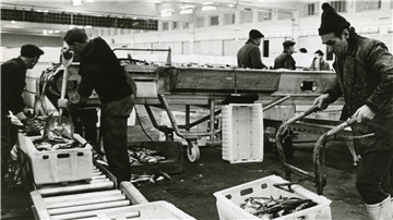 Das Wiegen wurde einfacher, und hygienischer war es auch: Ende der 60er Jahre wurden die alten Holzkisten durch Plastikkisten ersetzt, hier zu sehen auf einem Foto von 1969.