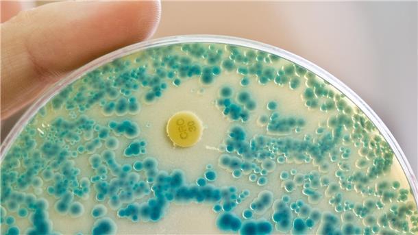 Datenanalyse: Antibiotika-Krise droht schlimmer zu werden Dass Antibiotika nicht mehr wirken, wird für die Menschheit zunehmend zum Problem. (Archivbild)