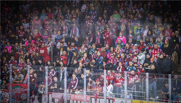 DEL 2022/23 Fischtown Pinguins gegen Augsburger Panther. Im Bild: Blick in die a...