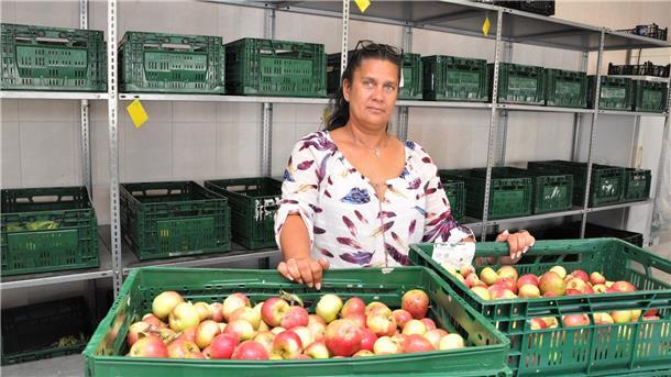 Denise Smith koordiniert die Arbeit bei der Nordenhamer Tafel. Rund ein Dutzend Helferinnen und Helfer stehen ihr zur Seite, die meisten sind Ein-Euro-Kräfte. In diesen Tagen hat sie mit Jugendlichen Äpfel gepflückt. Die werden in dieser Woche bei den Tafelterminen ausgegeben.