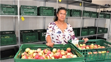 Denise Smith koordiniert die Arbeit bei der Nordenhamer Tafel. Rund ein Dutzend Helferinnen und Helfer stehen ihr zur Seite, die meisten sind Ein-Euro-Kräfte. In diesen Tagen hat sie mit Jugendlichen Äpfel gepflückt. Die werden in dieser Woche bei den Tafelterminen ausgegeben.