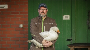 Ein Bauer steht vor einem grünen Tor und hält eine Gans im Arm.
