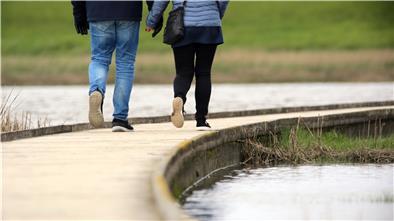 Der 400 Meter lange Bohlenweg ist die Attraktion des Langwarder Grodens. Die Tiere sind die hier laufenden Besucher gewöhnt und kommen deshalb sehr nah - vor allem die Seehunde.