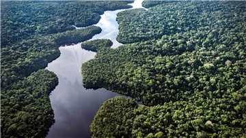 Der Amazonas: extrem wichtig fürs Klima, aber enorm unter Stress. (Archivbild)