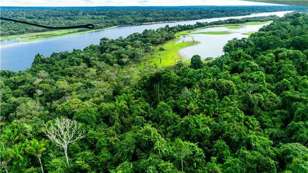 Amazonas in Brasilien wird weiter abgeholzt - nur langsamer Der Amazonas-Regenwald gilt als CO2-Speicher und hat eine wichtige Funktion im internationalen Kampf gegen den Klimawandel.