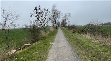 Eschen, Bahndamm
