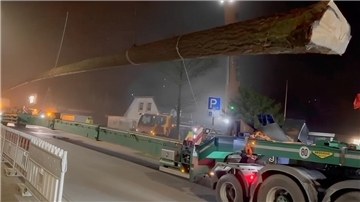 Der Baumstamm, der am Donnerstagmorgen in Abbehausen eintraf, sei kürzer als mit dem zuständigen Förster vereinbart, sagt Udo Venema. So will er nun vorgehen.