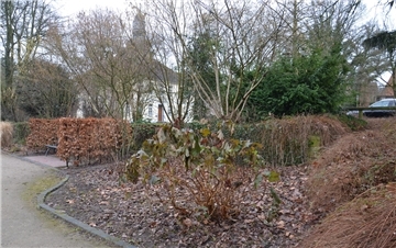 Stadtpark mit der Zevener St.-Viti-Kirche im Hintergrund.