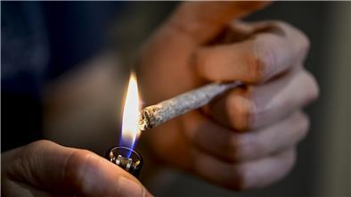 Cannabis, Joint