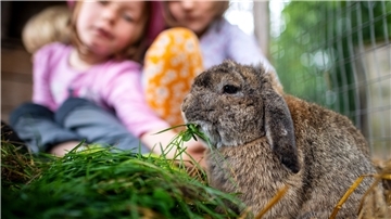 Zwei Kinder im Hintergrund, ein fressendes Kaninchen im Vordergrund. 