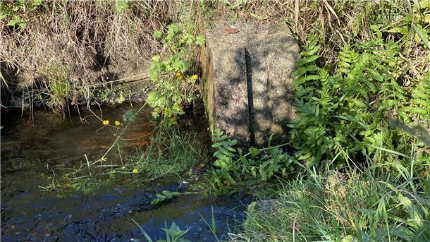 Der ehemaliger Stau in der Tüschendorfer Wasserlöse
