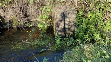 Der ehemaliger Stau in der Tüschendorfer Wasserlöse