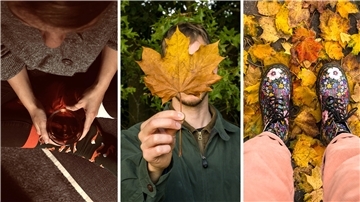 Der erste Advent steht vor der Tür, der Herbst ist in den Köpfen vieler Menschen Geschichte. Zeit,, der bunten Jahreszeit "Goodbye" zu sagen! Auf Instagram findet ihr unsere schönsten Herbstbilder.