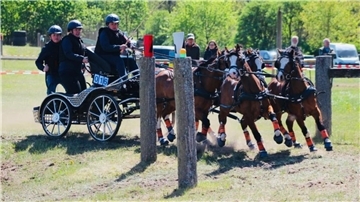 Die Fahrsportler des RV Zeven