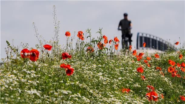 Der Frühjahr 2020 zählt zu den wärmsten seit der Wetteraufzeichnung. Insgesamt verbuchten die Wetterstationen 705 Stunden Sonne. Allerdings gab es aber wieder zu wenig Niederschlag. 