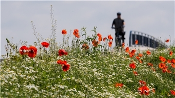 Der Frühjahr 2020 zählt zu den wärmsten seit der Wetteraufzeichnung. Insgesamt verbuchten die Wetterstationen 705 Stunden Sonne. Allerdings gab es aber wieder zu wenig Niederschlag. 