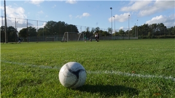 Ein Ball auf einem Fußballfeld.