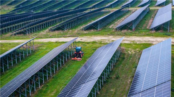 Der geplante Solarpark „Breddorf-Süd“ sorgt für Diskussionen. Rat und Bürger suchen nach einem konstruktiven Austausch. (Symbolbild)
