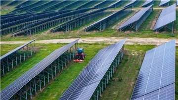 Der geplante Solarpark „Breddorf-Süd“ sorgt für Diskussionen. Rat und Bürger suchen nach einem konstruktiven Austausch. (Symbolbild)