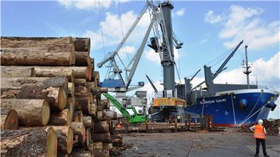 Der Holzumschlag in Nordenham läuft: Zwölf Schiffe pro Jahr sind das Ziel.