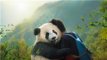 Der Junge Tian und der Panda Moon freunden sich an und sind fortan unzertrennlich.