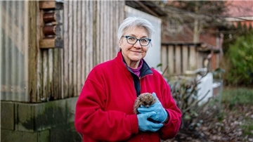 Eine ältere Frau mit einem kleinen Igel in der Hand. 