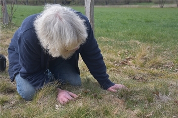 Das Foto zeigt den Kreisnaturschutzbeauftragten Claus Vollmer bei der Suche nach dem Hungerblümchen. 