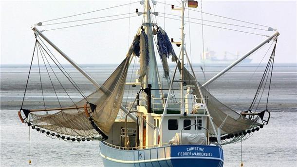 Zertifikat zeigt: Nordsee-Krabbenfischer erfüllen weiter hohe Umweltstandards Der Kutter „Christine“ mit Heimathafen Fedderwardersiel