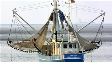 Zertifikat zeigt: Nordsee-Krabbenfischer erfüllen weiter hohe Umweltstandards Der Kutter „Christine“ mit Heimathafen Fedderwardersiel