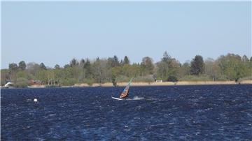 Surfer auf dem See