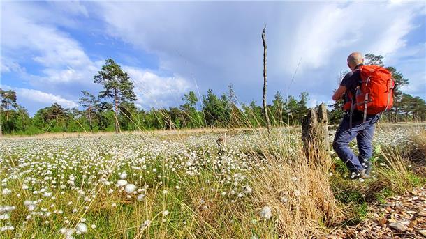 Der Landkreis Rotenburg hat sich in den vergangenen Jahren als Flachland-Wanderregion etabliert. Der Touristikverband will sich auf diesem Erfolg allerdings nicht ausruhen.