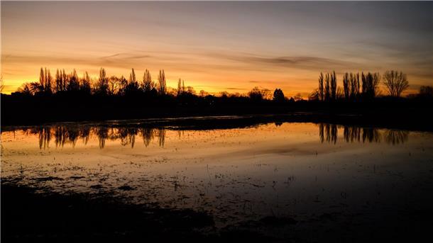 Der Morgenhimmel spiegelt sich in der noch immer vom Hochwasser und hohem Grundwasserspiegel teilweise gefluteten Leinemasch in der Region Hannover.