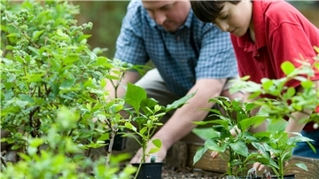 Der naturnahe Garten kann gut und gerne auch ein Familienprojekt sein, denn dabei geht es sehr viel um sanftes Gärtnern und das Nutzbarmachen etwa von Fressfeinden gegen Schädlinge.