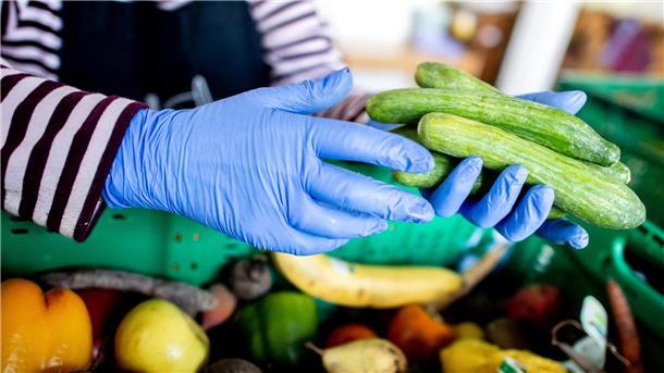 Hände einer Person in blauen Gummihandschuhen, die mittelgroße Schlangengurken halten. Im Bildhintergrund Lebensmittel in grünen Gemüsekisten.